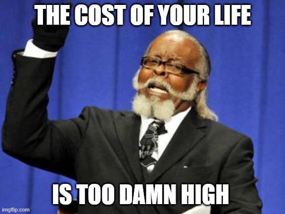 High Cost Life | THE COST OF YOUR LIFE; IS TOO DAMN HIGH | image tagged in memes,too damn high | made w/ Imgflip meme maker
