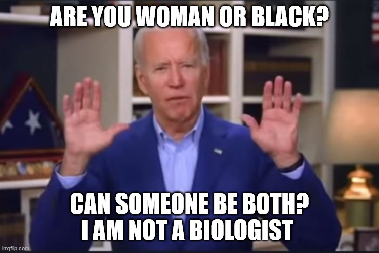 Joe Biden: You ain't black | ARE YOU WOMAN OR BLACK? CAN SOMEONE BE BOTH? I AM NOT A BIOLOGIST | image tagged in joe biden you ain't black | made w/ Imgflip meme maker