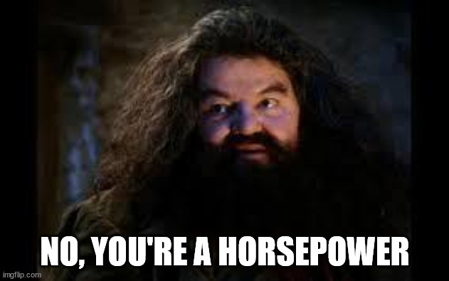 hagrid yer a wizard | NO, YOU'RE A HORSEPOWER | image tagged in hagrid yer a wizard | made w/ Imgflip meme maker