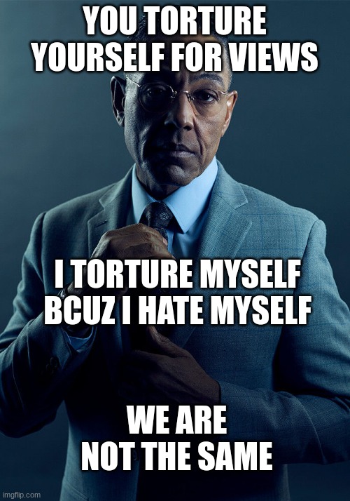 Gus Fring we are not the same | YOU TORTURE YOURSELF FOR VIEWS; I TORTURE MYSELF BCUZ I HATE MYSELF; WE ARE NOT THE SAME | image tagged in gus fring we are not the same | made w/ Imgflip meme maker