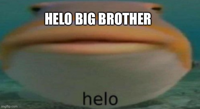 helo | HELO BIG BROTHER | image tagged in helo | made w/ Imgflip meme maker