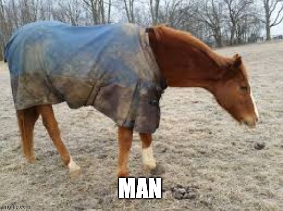 Man | MAN | image tagged in horse | made w/ Imgflip meme maker