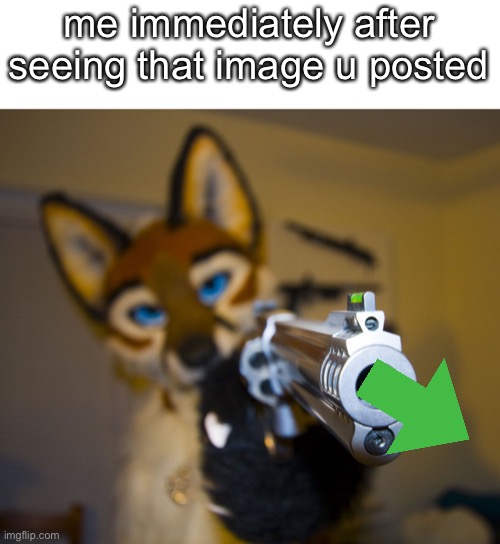 Take my upvote, :) |  me immediately after seeing that image u posted | image tagged in furry with gun,furry memes,pointing,gun | made w/ Imgflip meme maker