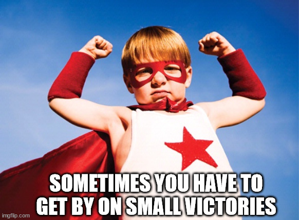 small victories | SOMETIMES YOU HAVE TO GET BY ON SMALL VICTORIES | image tagged in small victories | made w/ Imgflip meme maker