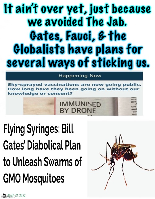 Evil, Powerful People have Diabolical Plans for Me & You | It ain’t over yet, just because
we avoided The Jab. Gates, Fauci, & the Globalists have plans for several ways of sticking us. | image tagged in memes,globalist freaks,gates,fauci,globalists,can all kiss my ass | made w/ Imgflip meme maker