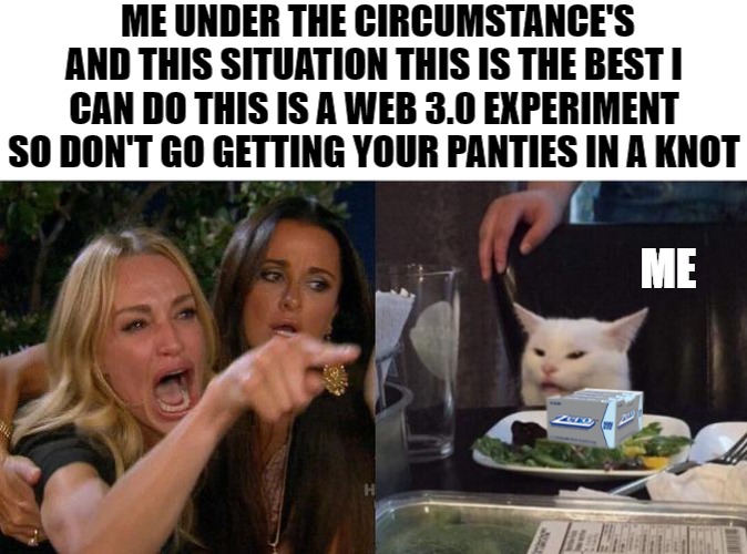 I'm trying | ME UNDER THE CIRCUMSTANCE'S AND THIS SITUATION THIS IS THE BEST I CAN DO THIS IS A WEB 3.0 EXPERIMENT SO DON'T GO GETTING YOUR PANTIES IN A KNOT; ME | image tagged in woman yelling at cat | made w/ Imgflip meme maker