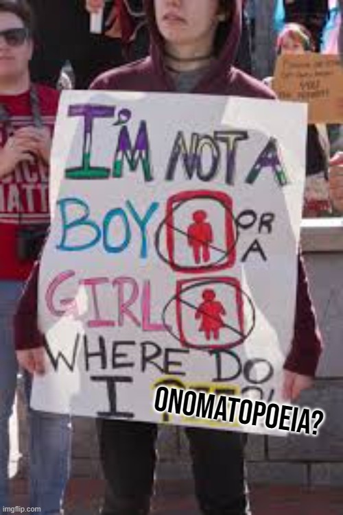 Transgender restroom protest | ONOMATOPOEIA? | image tagged in transgender restroom protest | made w/ Imgflip meme maker