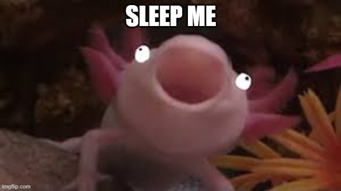 ijp | SLEEP ME | image tagged in axol | made w/ Imgflip meme maker