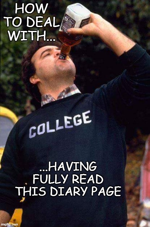 Belushi Chugging Jack Daniels | HOW TO DEAL WITH... ...HAVING FULLY READ THIS DIARY PAGE | image tagged in belushi chugging jack daniels | made w/ Imgflip meme maker