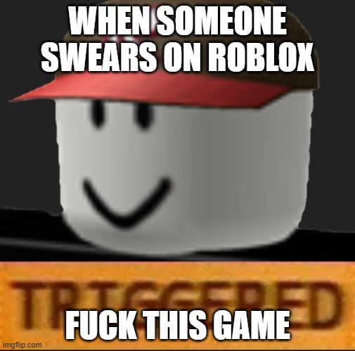 Roblox Triggered | WHEN SOMEONE SWEARS ON ROBLOX; FUCK THIS GAME | image tagged in roblox triggered | made w/ Imgflip meme maker