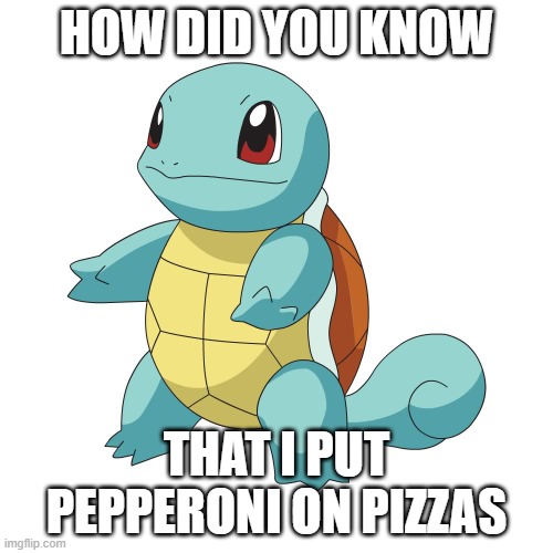 Terity | HOW DID YOU KNOW; THAT I PUT PEPPERONI ON PIZZAS | image tagged in squirtle | made w/ Imgflip meme maker