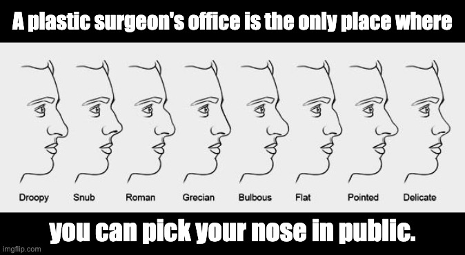 Nose | A plastic surgeon's office is the only place where; you can pick your nose in public. | image tagged in bad pun | made w/ Imgflip meme maker