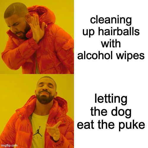 like candy to the dogs |  cleaning up hairballs with alcohol wipes; letting the dog eat the puke | image tagged in memes,drake hotline bling,puke,cats,dogs,cleaning | made w/ Imgflip meme maker