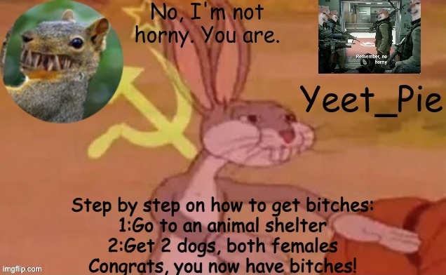 Yeet_Pie | Step by step on how to get bitches:
1:Go to an animal shelter
2:Get 2 dogs, both females
Congrats, you now have bitches! | image tagged in yeet_pie | made w/ Imgflip meme maker