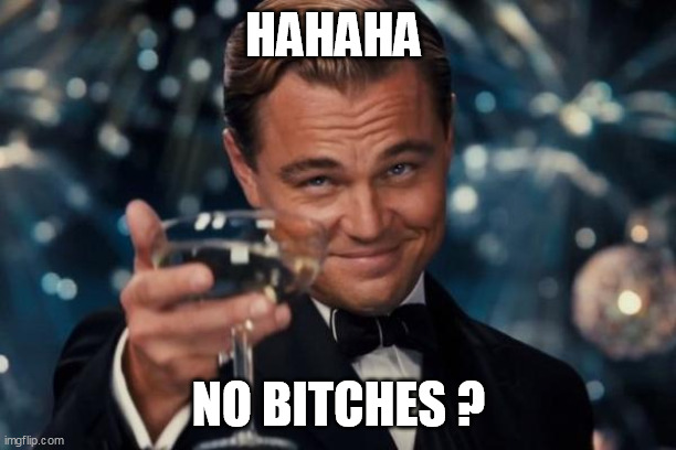 HAHAHA NO BITCHES ? | image tagged in memes,leonardo dicaprio cheers | made w/ Imgflip meme maker