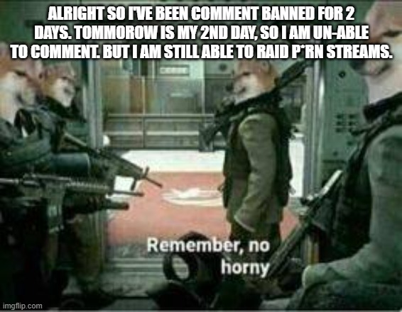 Still in the fight. | ALRIGHT SO I'VE BEEN COMMENT BANNED FOR 2 DAYS. TOMMOROW IS MY 2ND DAY, SO I AM UN-ABLE TO COMMENT. BUT I AM STILL ABLE TO RAID P*RN STREAMS. | image tagged in horny dog remember no horny | made w/ Imgflip meme maker