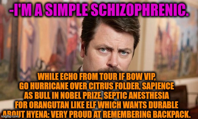 -My wishes on very good. | -I'M A SIMPLE SCHIZOPHRENIC. WHILE ECHO FROM TOUR IF BOW VIP, GO HURRICANE OVER CITRUS FOLDER, SAPIENCE AS BULL IN NOBEL PRIZE, SEPTIC ANESTHESIA FOR ORANGUTAN LIKE ELF WHICH WANTS DURABLE ABOUT HYENA: VERY PROUD AT REMEMBERING BACKPACK. | image tagged in i'm a simple man,ron swanson,speechless,mental health,schizophrenia,text messages | made w/ Imgflip meme maker