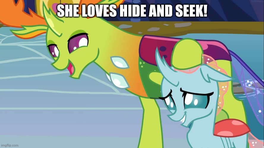 SHE LOVES HIDE AND SEEK! | made w/ Imgflip meme maker