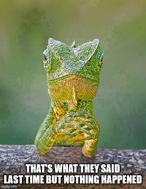 Sarcastic Lizard | THAT'S WHAT THEY SAID LAST TIME BUT NOTHING HAPPENED | image tagged in sarcastic lizard | made w/ Imgflip meme maker