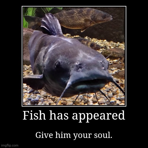 Fish | image tagged in funny,demotivationals | made w/ Imgflip demotivational maker