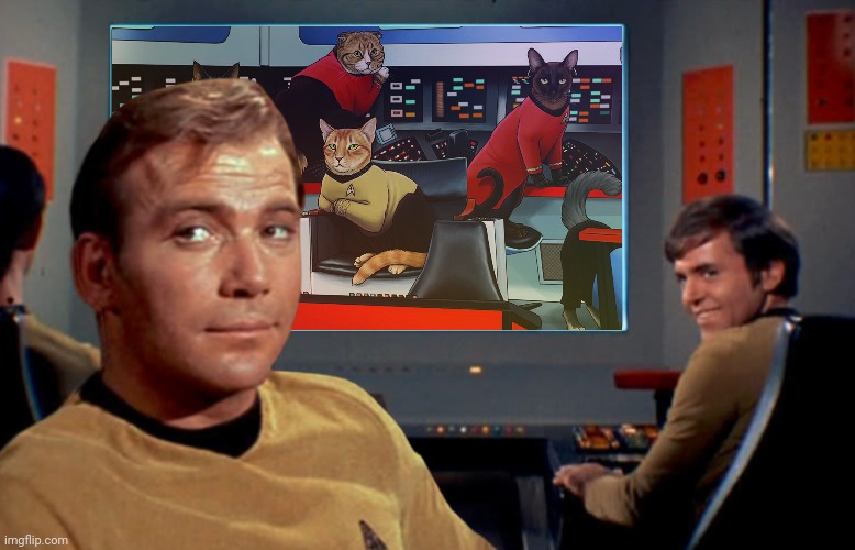 image tagged in cats,funny cats,star trek,lol | made w/ Imgflip meme maker