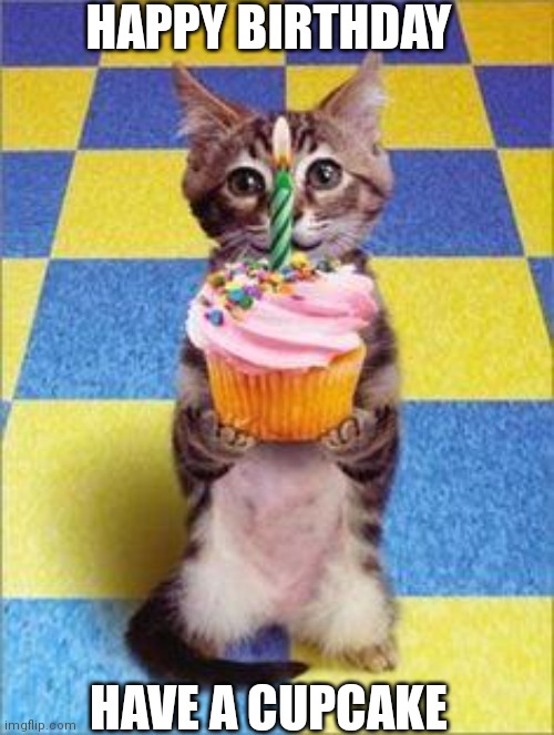 Happy Birthday Cat | HAPPY BIRTHDAY HAVE A CUPCAKE | image tagged in happy birthday cat | made w/ Imgflip meme maker