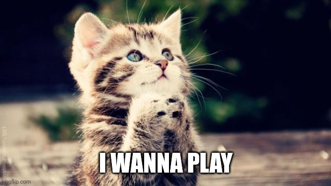 Praying cat | I WANNA PLAY | image tagged in praying cat | made w/ Imgflip meme maker