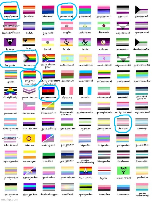 i have not many pride flags | image tagged in so many pride flags | made w/ Imgflip meme maker