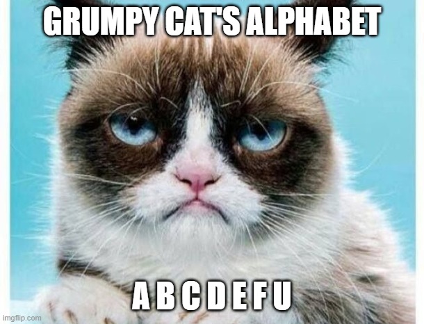 GRUMPY CAT'S ALPHABET; A B C D E F U | image tagged in grumpy cat | made w/ Imgflip meme maker