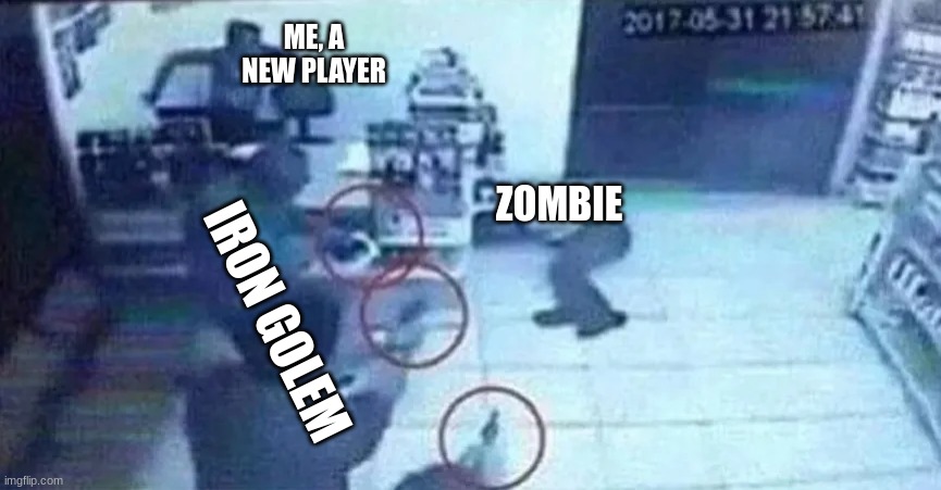 It's not like this now but when I first started it was | ME, A NEW PLAYER; ZOMBIE; IRON GOLEM | image tagged in funny,minecraft,gaming | made w/ Imgflip meme maker