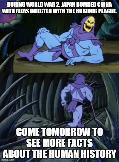 Disturbing Facts Skeletor |  DURING WORLD WAR 2, JAPAN BOMBED CHINA WITH FLEAS INFECTED WITH THE BUBONIC PLAGUE. COME TOMORROW TO SEE MORE FACTS ABOUT THE HUMAN HISTORY | image tagged in disturbing facts skeletor | made w/ Imgflip meme maker