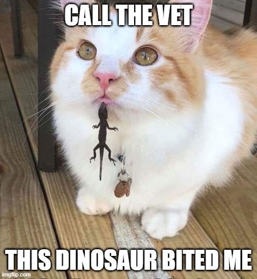 CALL THE VET; THIS DINOSAUR BITED ME | image tagged in dinosaur | made w/ Imgflip meme maker