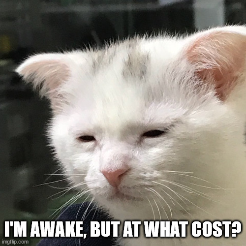 I'm awake, but at what cost? | I'M AWAKE, BUT AT WHAT COST? | image tagged in i'm awake but at what cost | made w/ Imgflip meme maker