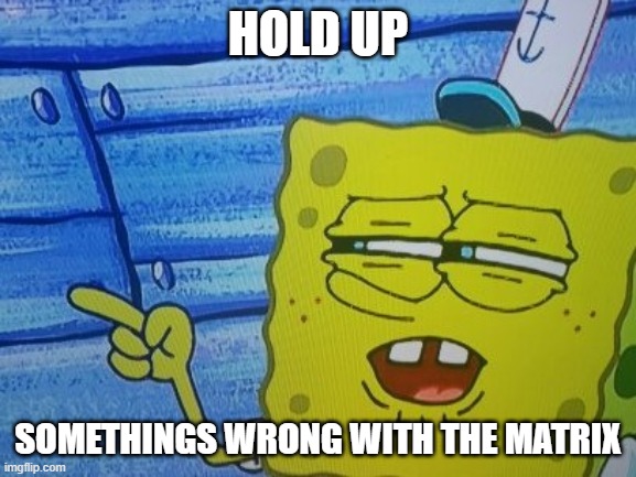 Sponge Bob | HOLD UP SOMETHINGS WRONG WITH THE MATRIX | image tagged in sponge bob | made w/ Imgflip meme maker