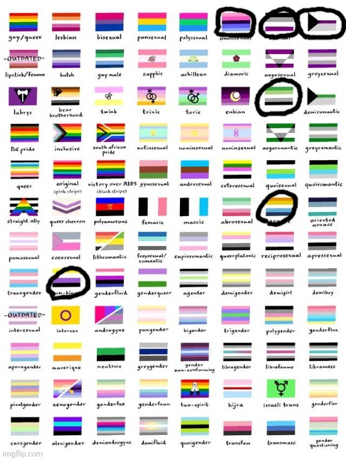 I'm not a term collector..........Yet- | image tagged in so many pride flags | made w/ Imgflip meme maker