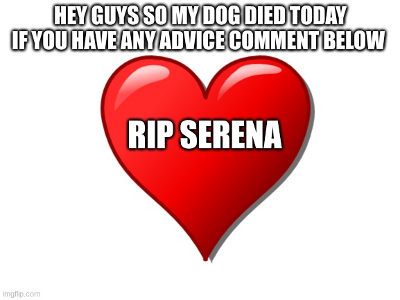 RIP |  HEY GUYS SO MY DOG DIED TODAY IF YOU HAVE ANY ADVICE COMMENT BELOW; RIP SERENA | image tagged in dog,will be missed,rest in peace,jaysolo45 | made w/ Imgflip meme maker