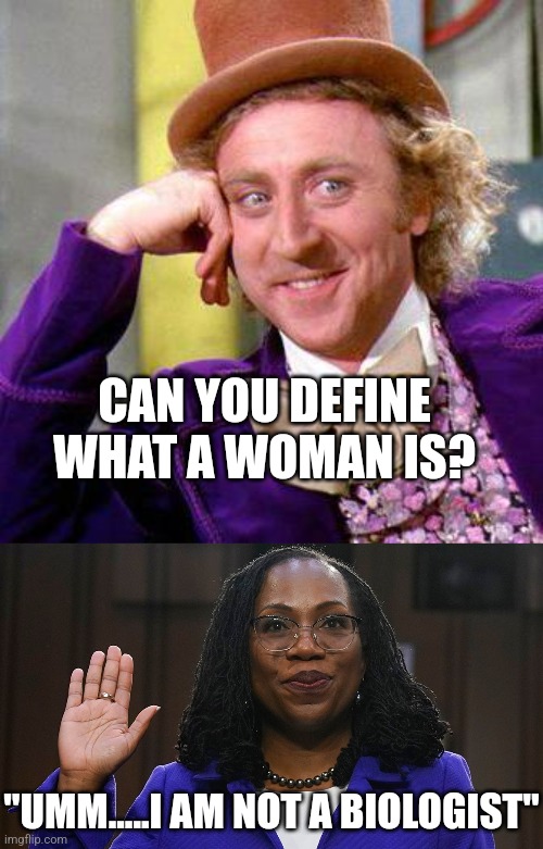 Democrats...so insane, they can't identify a woman anymore? This is a female supreme court nominee saying this! | CAN YOU DEFINE WHAT A WOMAN IS? "UMM.....I AM NOT A BIOLOGIST" | image tagged in willy wonka blank,supreme court,women,wtf,liberal logic,liberal hypocrisy | made w/ Imgflip meme maker