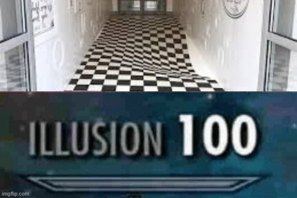 The floor.. illusion 100 | image tagged in illusion 100 | made w/ Imgflip meme maker