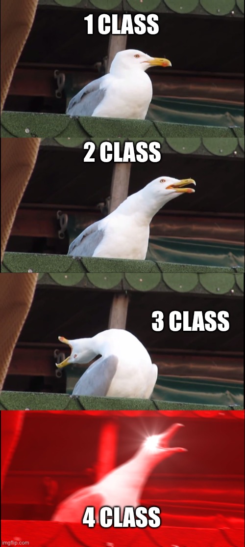 Inhaling Seagull | 1 CLASS; 2 CLASS; 3 CLASS; 4 CLASS | image tagged in memes,inhaling seagull | made w/ Imgflip meme maker
