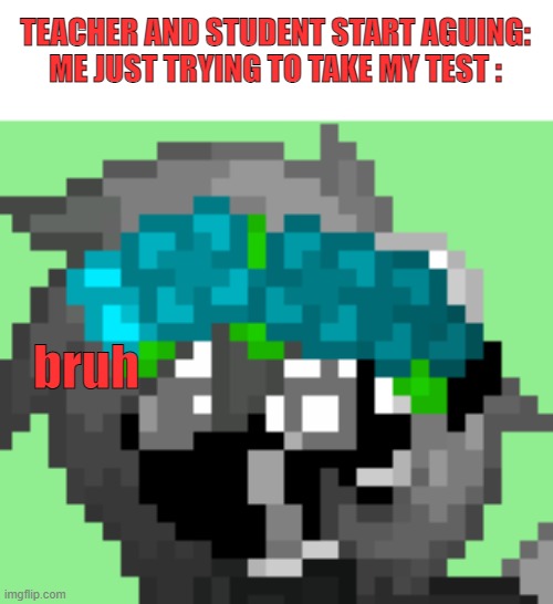 pain (yes i play pony town) | TEACHER AND STUDENT START AGUING:
ME JUST TRYING TO TAKE MY TEST :; bruh | made w/ Imgflip meme maker