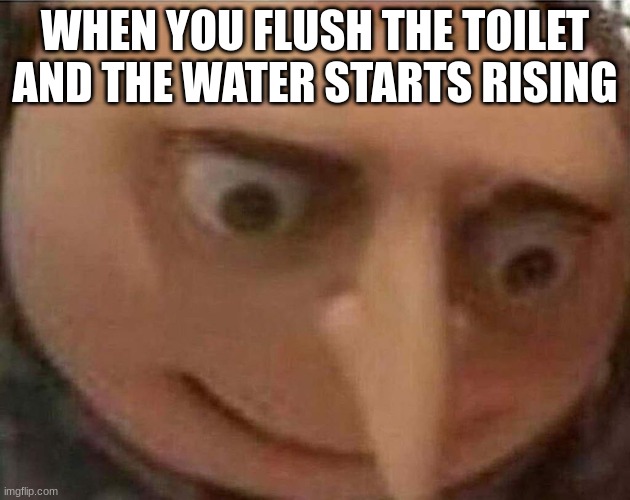 you screwed up | WHEN YOU FLUSH THE TOILET AND THE WATER STARTS RISING | image tagged in gru meme | made w/ Imgflip meme maker