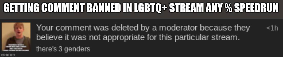 lmfao | GETTING COMMENT BANNED IN LGBTQ+ STREAM ANY % SPEEDRUN | made w/ Imgflip meme maker