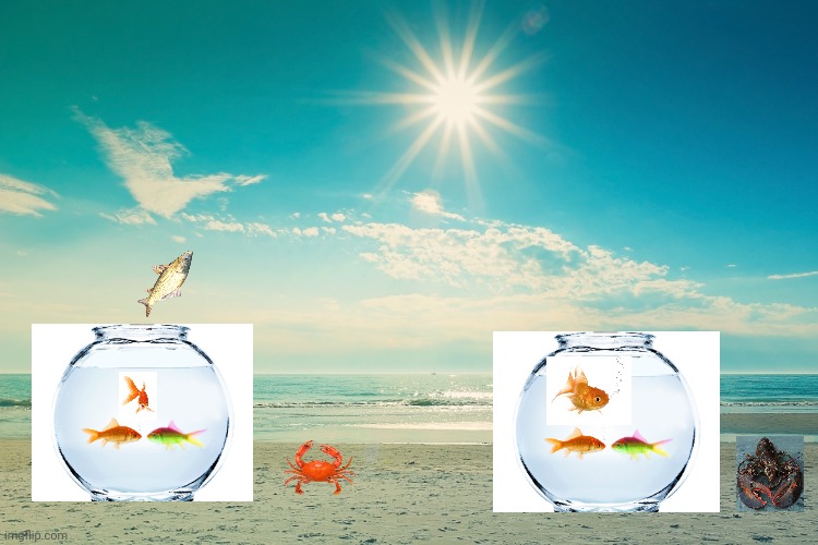 The fishbowl on the beach | image tagged in summer-beach | made w/ Imgflip meme maker