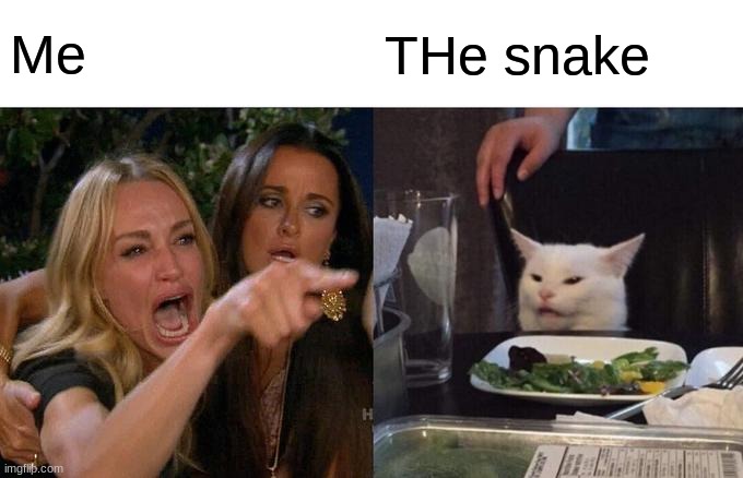 Woman Yelling At Cat Meme | Me THe snake | image tagged in memes,woman yelling at cat | made w/ Imgflip meme maker