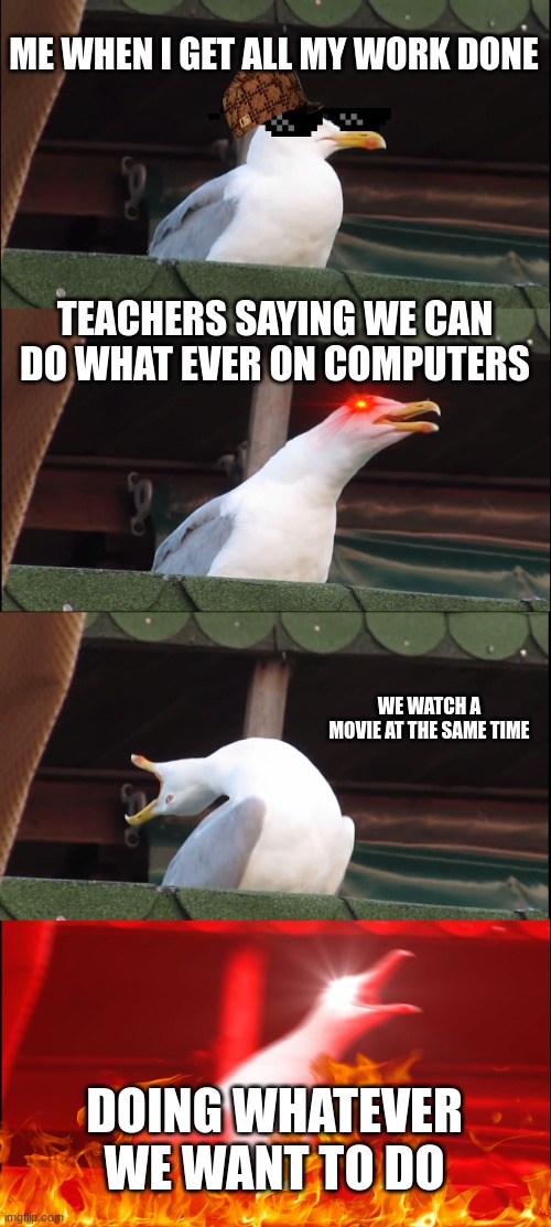 Inhaling Seagull Meme | ME WHEN I GET ALL MY WORK DONE; TEACHERS SAYING WE CAN DO WHAT EVER ON COMPUTERS; WE WATCH A MOVIE AT THE SAME TIME; DOING WHATEVER WE WANT TO DO | image tagged in memes,inhaling seagull | made w/ Imgflip meme maker