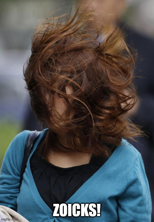 hair wind girl windy | ZOICKS! | image tagged in hair wind girl windy | made w/ Imgflip meme maker