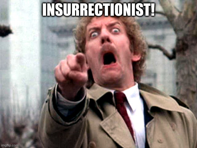 what happens when I visit the Politics Stream | INSURRECTIONIST! | image tagged in screaming donald sutherland | made w/ Imgflip meme maker