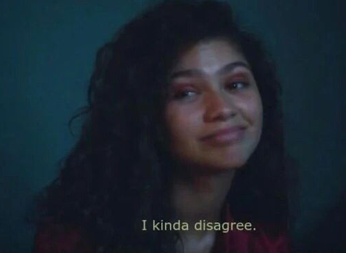 Zendaya I kinda disagree meme Blank Meme Template