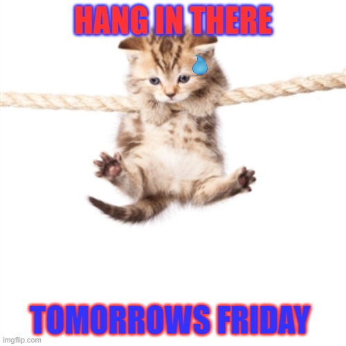 Hang in there kitty  | HANG IN THERE; TOMORROWS FRIDAY | image tagged in hang in there kitty | made w/ Imgflip meme maker