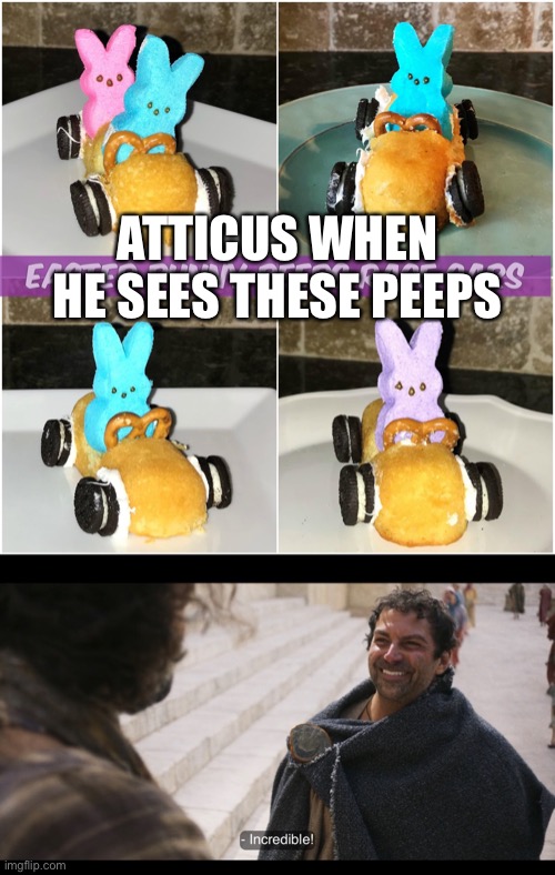 ATTICUS WHEN HE SEES THESE PEEPS | image tagged in the chosen,peeps,foodie,hungry,diabetes,sweets | made w/ Imgflip meme maker